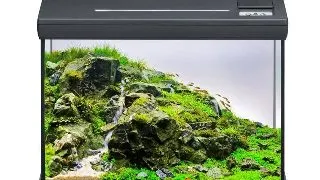 Acvariu complet EHEIM aquaclass 30 anthracite  41 6x25 5x28 cm