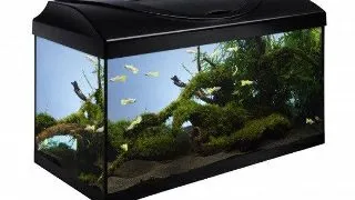 Acvariu din sticla cu led 13W Diversa LED 60x30x30cm 54 L