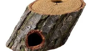 Decor Hobby Wood Cave 1