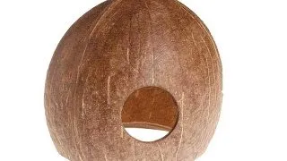 Nuca cocos Hobby Aqua Cave M