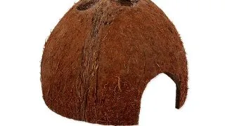 Nuca cocos Repti Planet Coco Shell L
