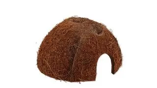 Nuca cocos Repti Planet Coco Shell S