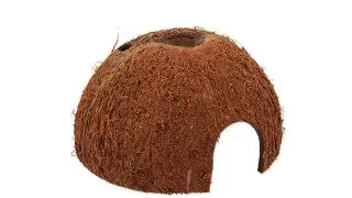 Nuca cocos Repti Planet Coco Shell M