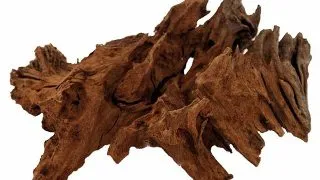 Radacina Repti Planet Root Driftwood L 35-55cm