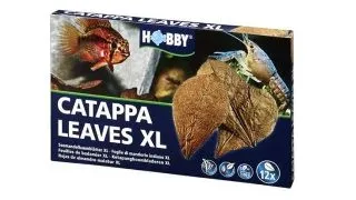 Frunze Hobby Catappa XL 12 bucati