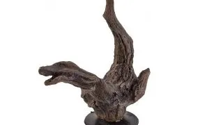 Decor Hobby Aqua Branch 1 cu ventuza