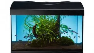 Acvariu din sticla cu led Diversa Negru 4W 40x25x25cm