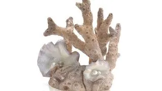Decor Oase biOrb Coral S