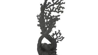 Decor Oase biOrb Fan coral negru