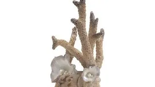 Decor Oase biOrb Coral L