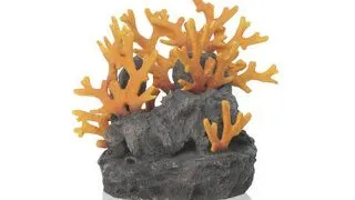 Decor Oase biOrb roca vulcanica si coral rosu