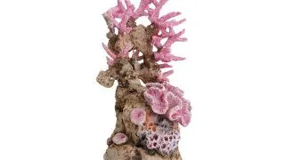 Decor Oase biOrb Reef ornament roz