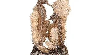 Decor Oase biOrb calut de mare pe coral S