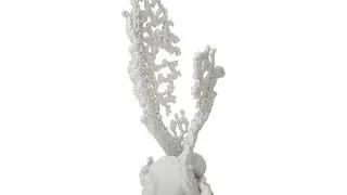 Decor Oase biOrb Fan coral M alb