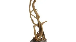 Decor Oase biOrb Moorwood S