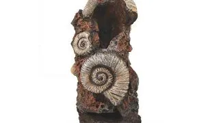 Decor Oase biOrb Ornament ancient conch