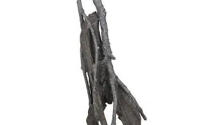 Decor radacini Oase biOrb Amazonas root L