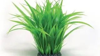 Decor Oase biOrb Grass inel cu iarba S