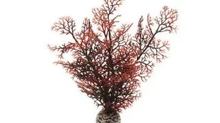 Decor Oase biOrb Sea fan purpuriu L