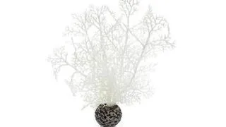 Decor Oase biOrb Sea fan S alb