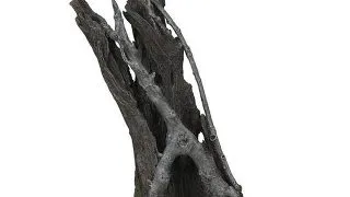 Decor radacini Oase biOrb Amazonas root M