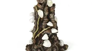 Decor Oase biOrb cochilii albe pe scoarta de copac