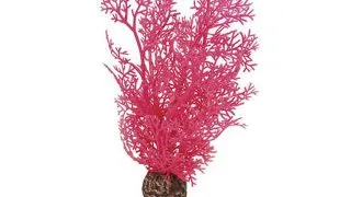 Decor Oase biOrb Sea fan M roz