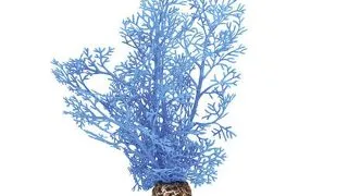 Decor Oase biOrb Sea fan S albastru
