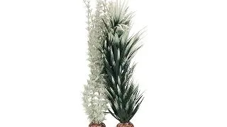 Decor planta Oase biOrb ambulia gri/verde L