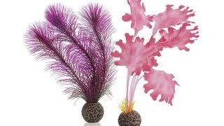 Decor Oase biOrb Kelp set roz M
