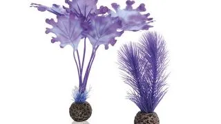 Decor Oase biOrb Kelp set mov S