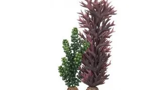 Decor Oase biOrb alge si perle verde-oliv