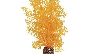 Decor Oase biOrb Sea fan M portocaliu