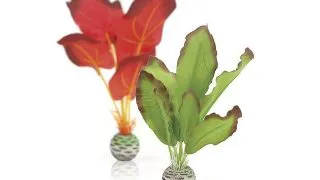 Decor plante Oase biOrb set verde&amp;rosu L