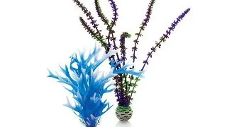 Decor Oase biOrb Plant set albastru &amp; mov M