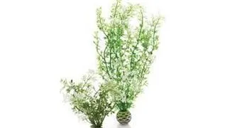 Decor planta Oase biOrb Aquatic winter flower set 2 bucati