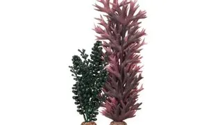 Decor Oase biOrb alge si perle verde inchis