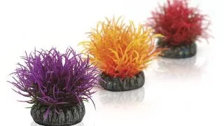 Decor Oase biOrb Aquatic color ball set 3 bucati