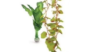 Decor plante Oase biOrb verde L