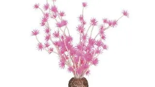 Decor Oase biOrb Bonsai ball roz