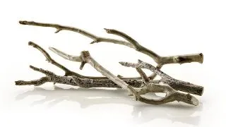 Crengi artificiale Oase Riverwood Branches Set 3