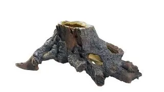Decor terariu Hobby buturuga gaurita 30x15x22cm