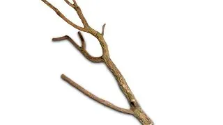 Decor ramura naturala Hobby Cork Branch L 75-100cm