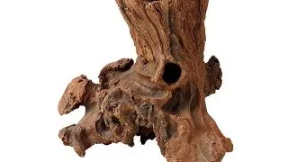 Decor Hobby Driftwood 3 21x13x18 cm
