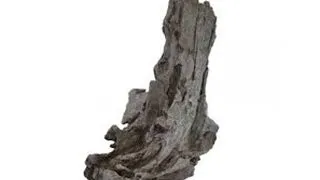 Decor roca Oase biOrb AIR Rockwood spire