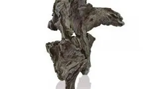 Decor lemn Oase biOrb AIR Rockwood bird