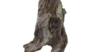 Decor lemn Oase biOrb AIR Rockwood neck
