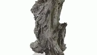 Decor roca Oase biOrb AIR Rockwood trunk