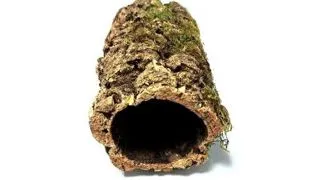 Decor tunel pluta naturala XSmall