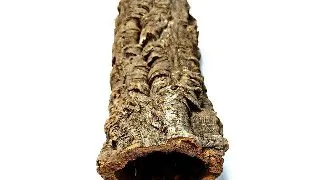 Decor tunel pluta naturala Small